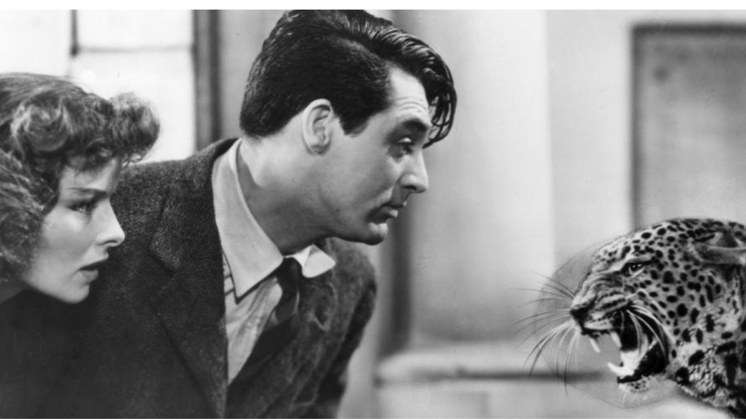 Black and white image of a man and a woman face to face with a leopard