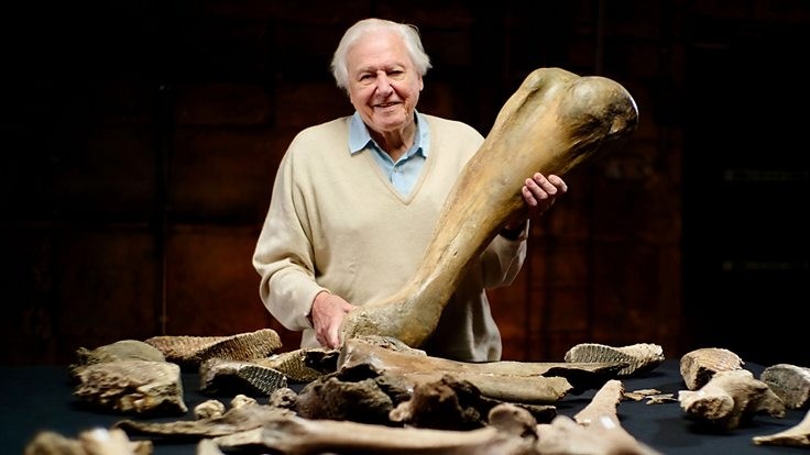 David Attenborough holding a giant mammoth bone